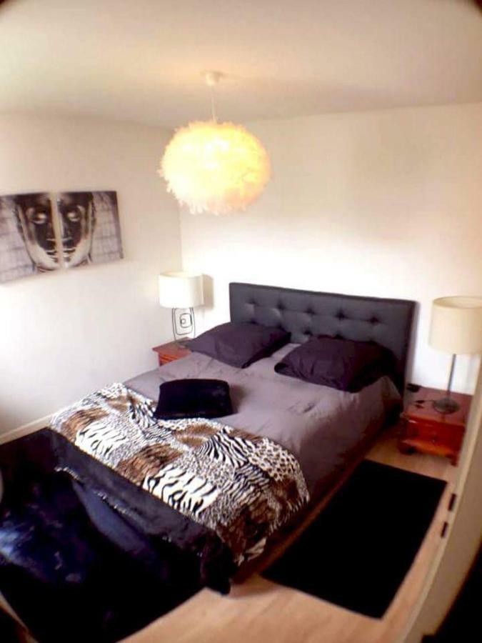 Le Topaze Apartment Colmar Luaran gambar